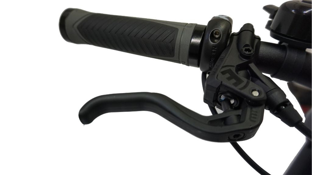 Rohloff E-14K PP