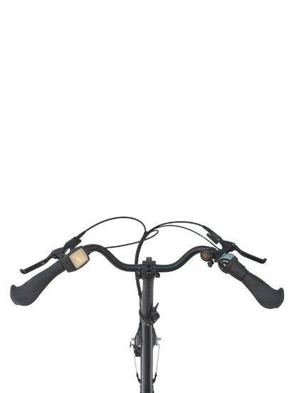 MOBILEMASTER P8K F/RT, Bosch Performance Line (65Nm), Kette, SHIMANO 8-Gang Nabenschaltung mit/ohne Rücktritt - E Bike Klapprad mit BOSCH Mittelmotor