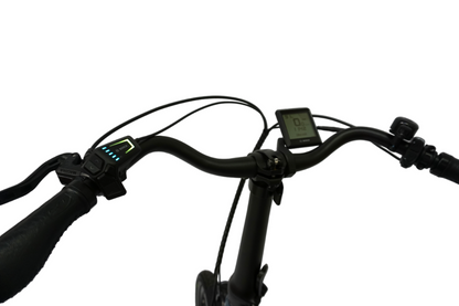 MOBILEMASTER Rohloff E-14R PT CX SM, Performance Line CX 85 Nm, Riemen, ROHLOFF 14-Gang Nabenschaltung mit Freilauf - Falt-E-Bike Klapprad mit BOSCH Mittelmotor